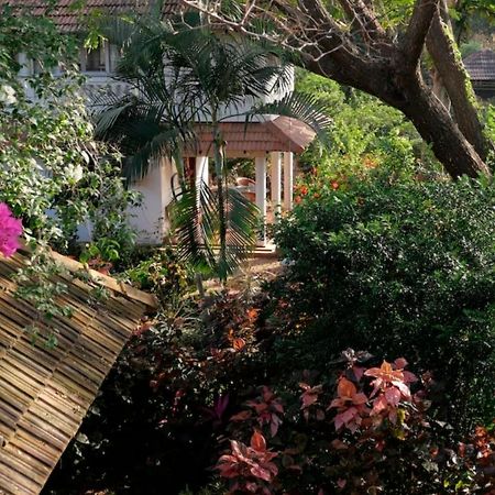 Gaia'S Garden Guest House Auroville Zewnętrze zdjęcie