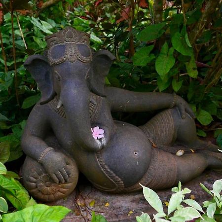 Gaia'S Garden Guest House Auroville Zewnętrze zdjęcie