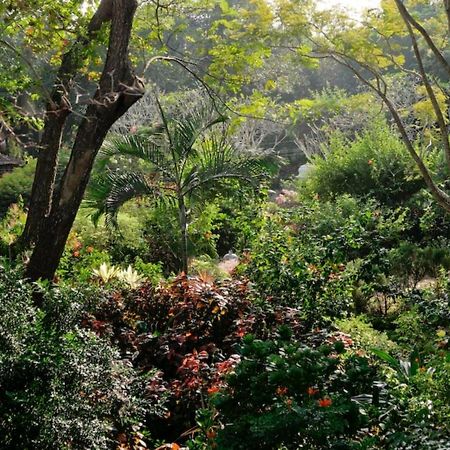 Gaia'S Garden Guest House Auroville Zewnętrze zdjęcie