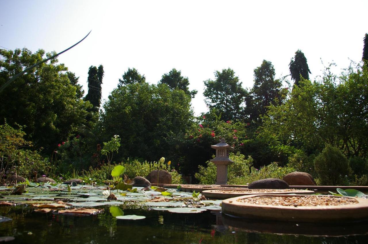 Gaia'S Garden Guest House Auroville Zewnętrze zdjęcie