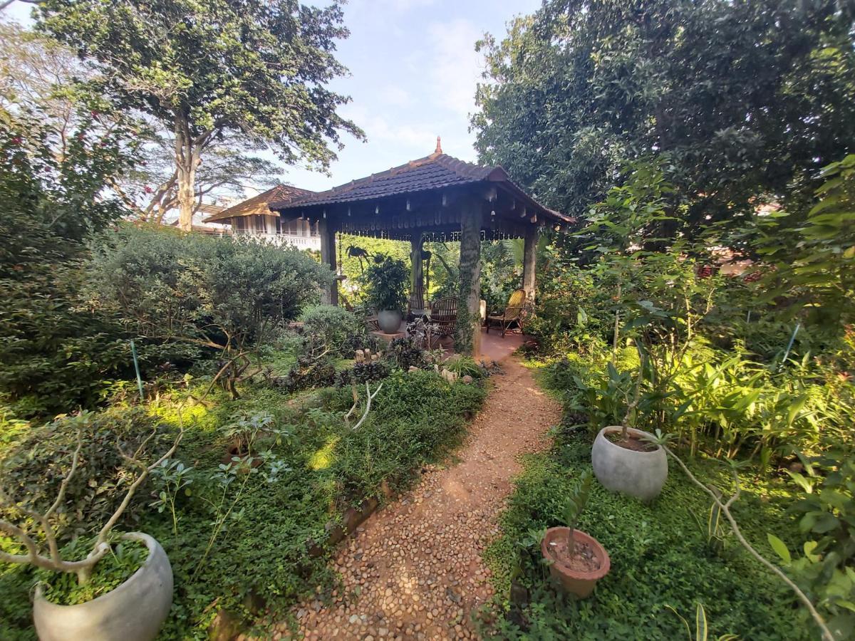 Gaia'S Garden Guest House Auroville Zewnętrze zdjęcie
