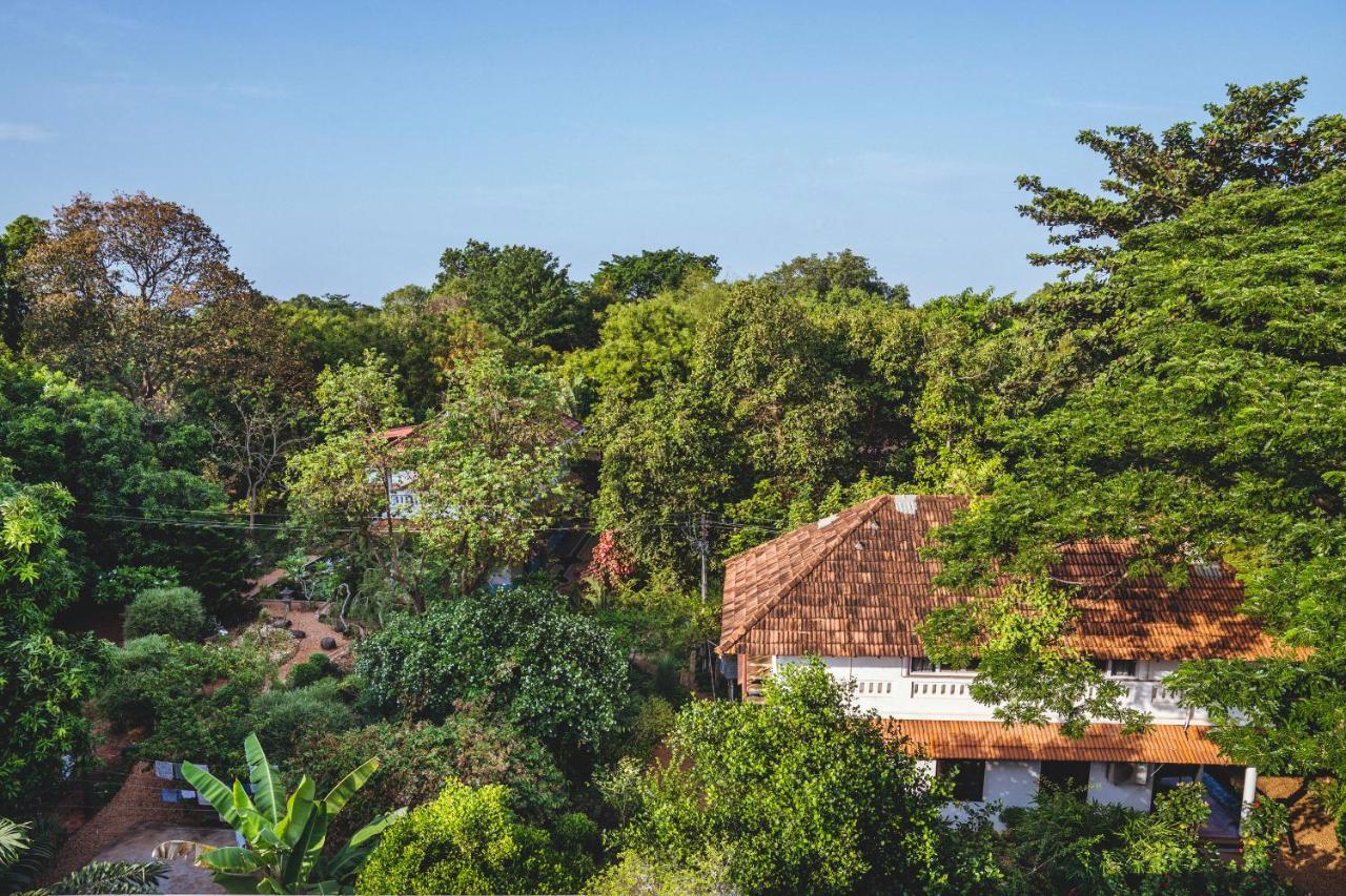 Gaia'S Garden Guest House Auroville Zewnętrze zdjęcie