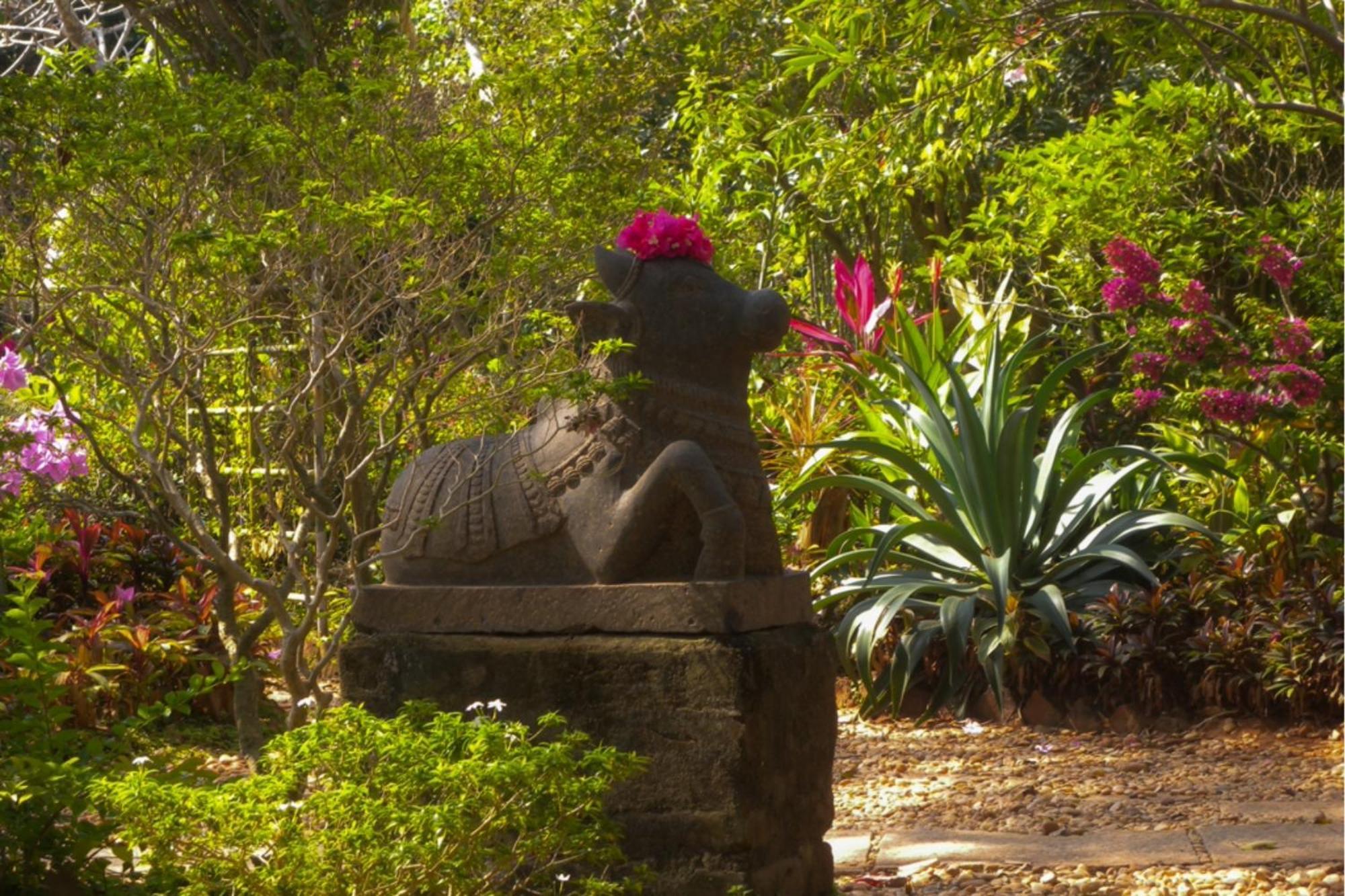 Gaia'S Garden Guest House Auroville Zewnętrze zdjęcie