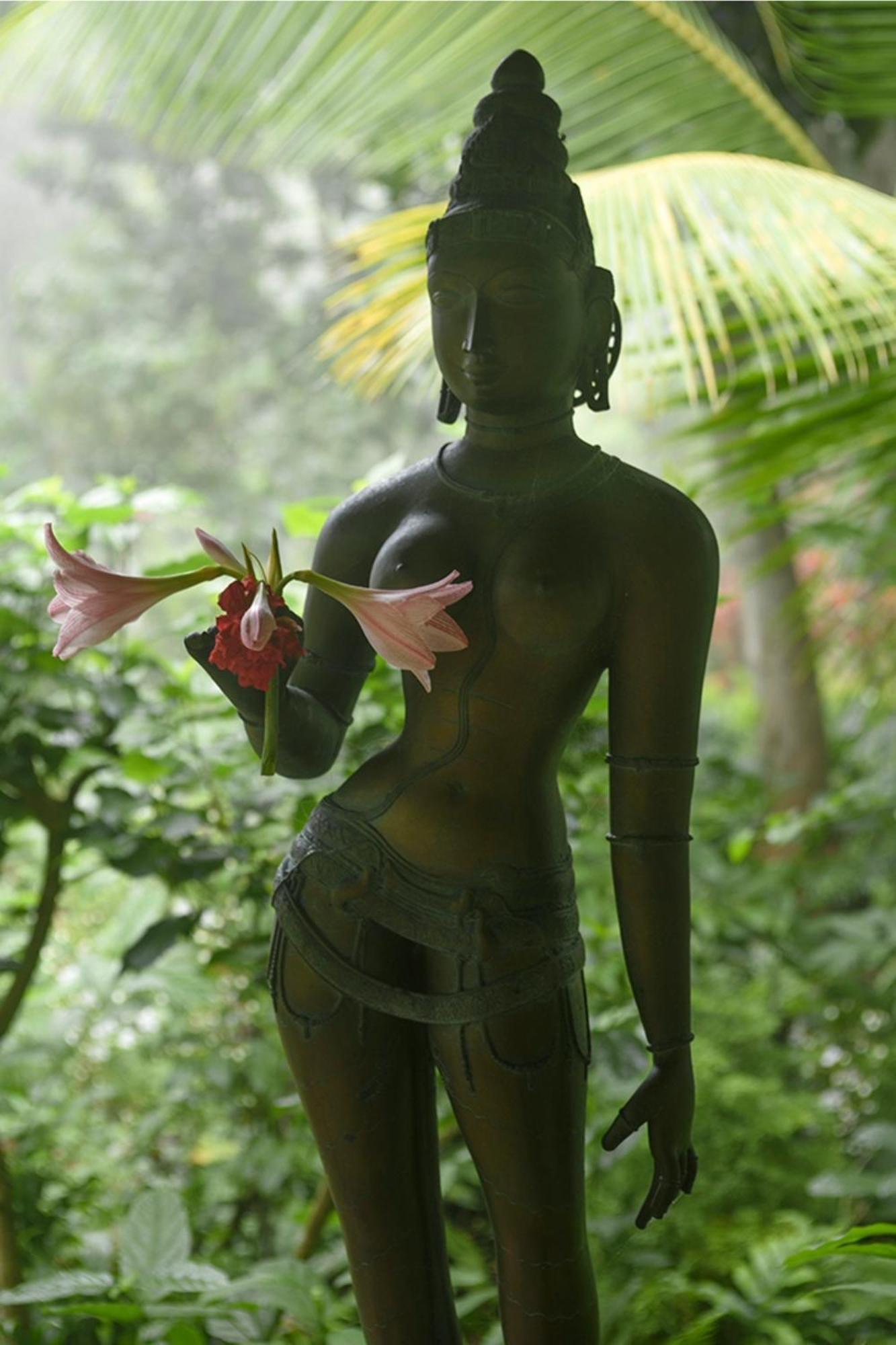 Gaia'S Garden Guest House Auroville Zewnętrze zdjęcie