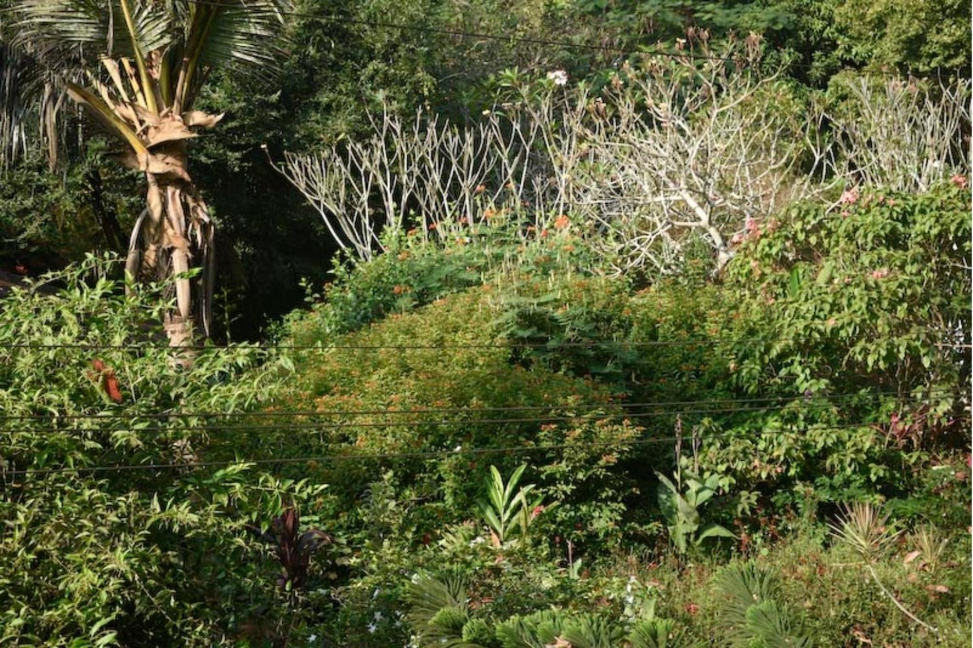 Gaia'S Garden Guest House Auroville Zewnętrze zdjęcie