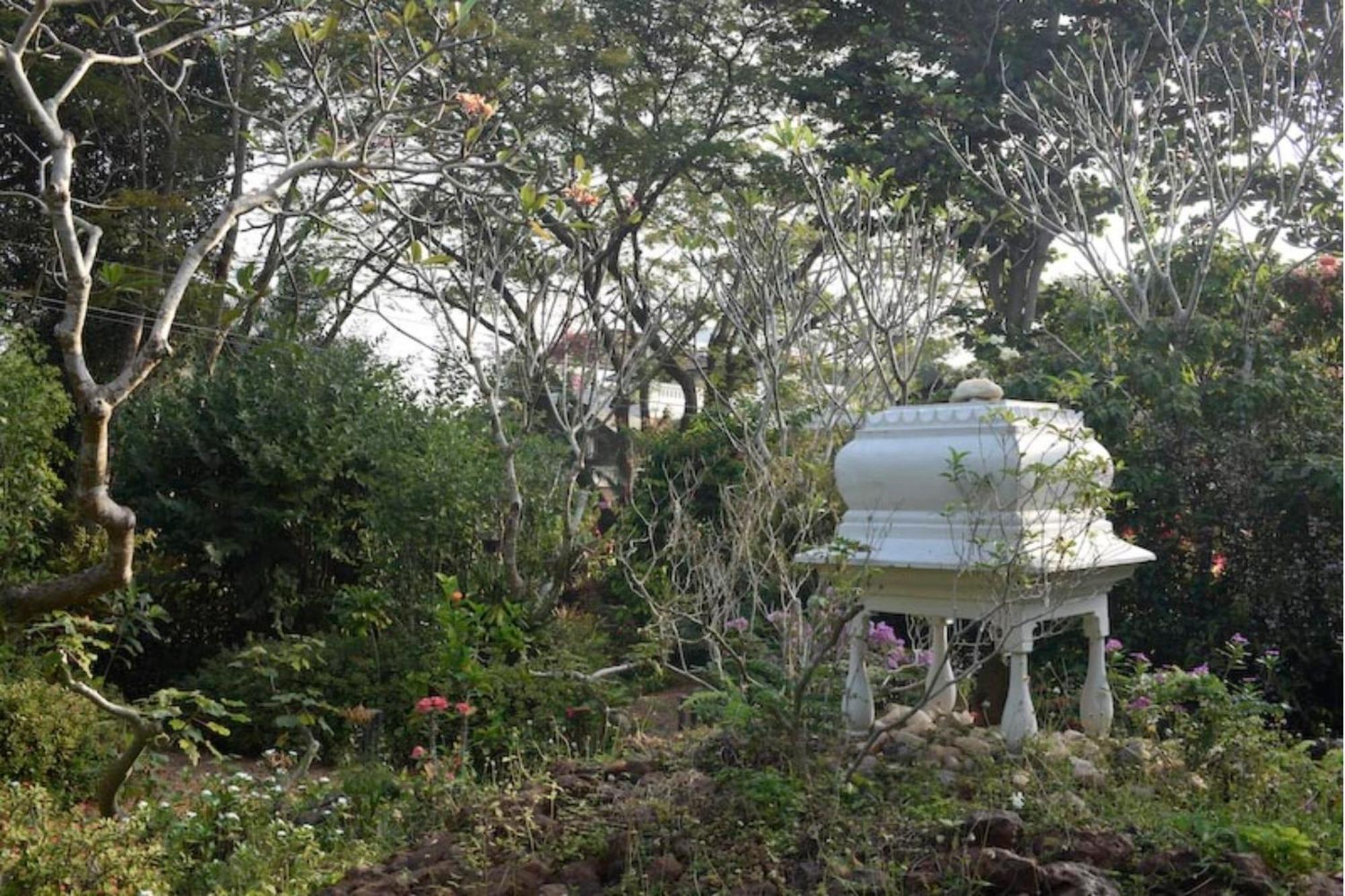 Gaia'S Garden Guest House Auroville Zewnętrze zdjęcie