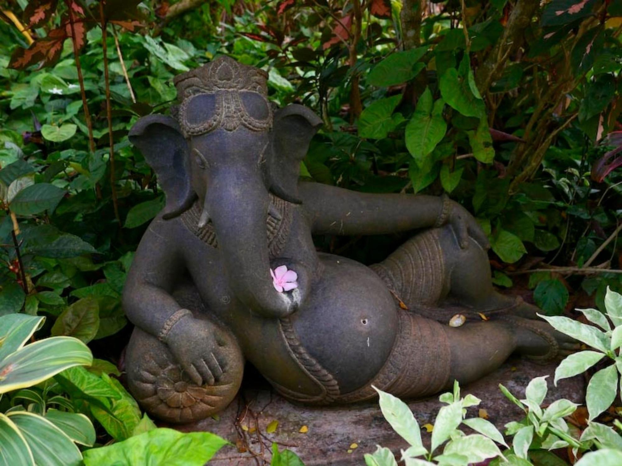 Gaia'S Garden Guest House Auroville Zewnętrze zdjęcie