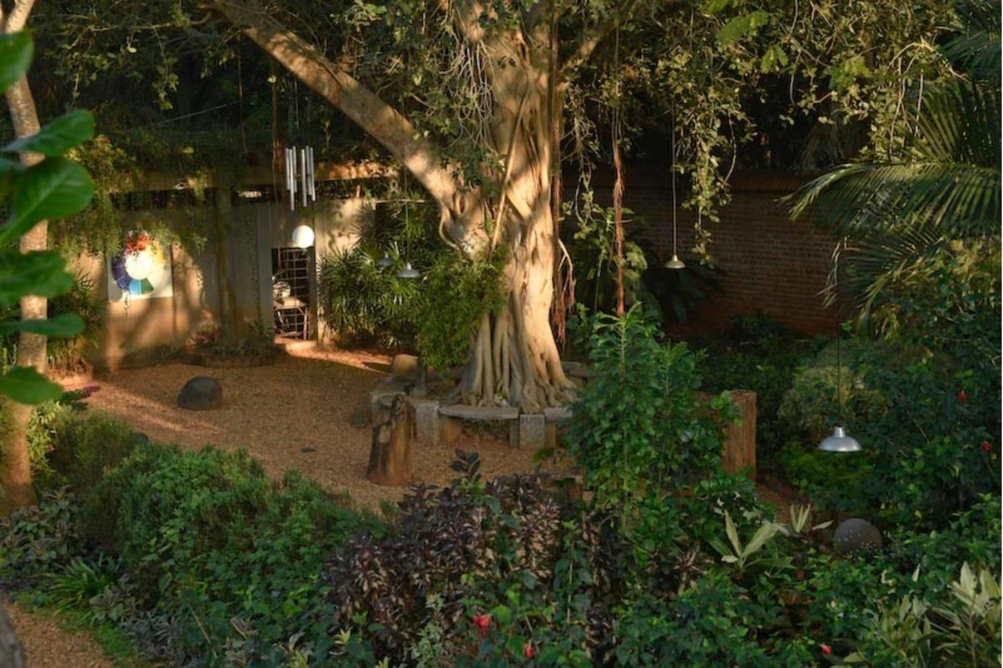 Gaia'S Garden Guest House Auroville Zewnętrze zdjęcie
