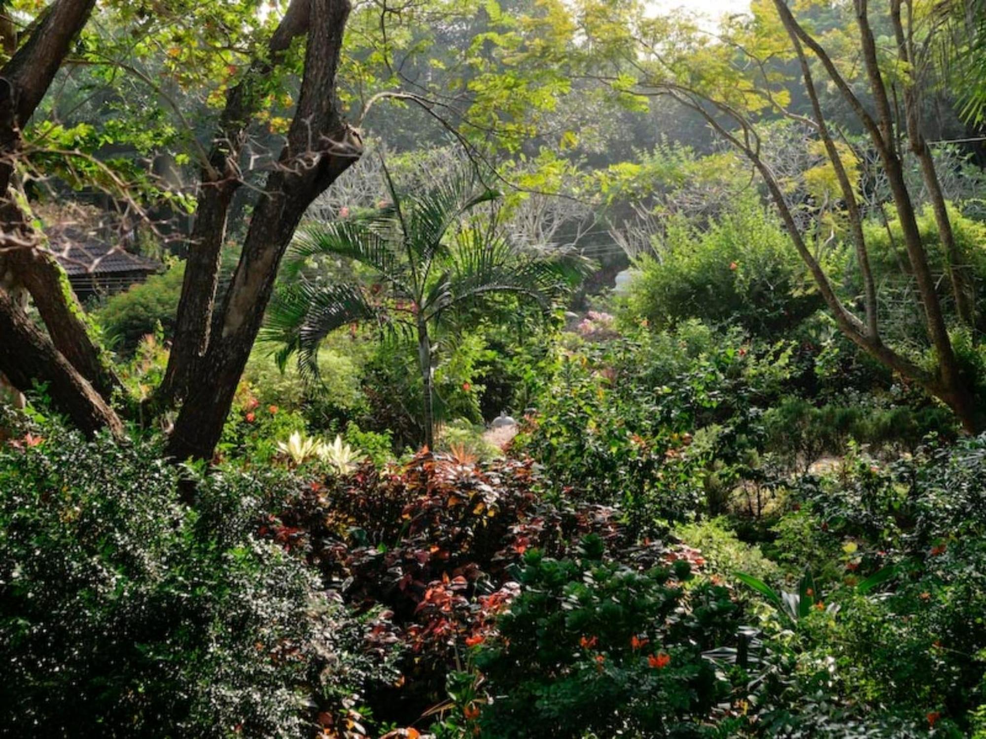 Gaia'S Garden Guest House Auroville Zewnętrze zdjęcie
